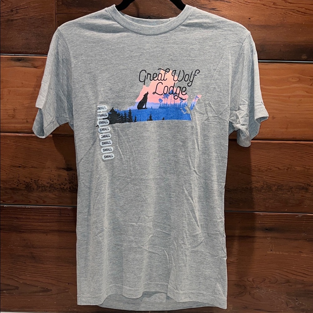 🔥‼️BRAND NEW Tultex Gray Graphic Tee with Blue and Pink Accents‼️🔥